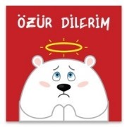 Özür Dilerim Ayıcık